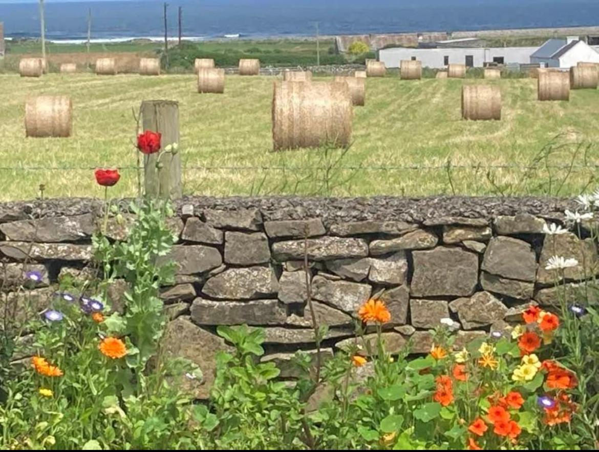 Wild Atlantic View Bed and Breakfast Sligo Exterior foto